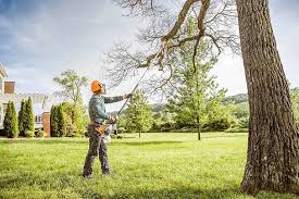 Best Arborist Consultation Services  in Skidaway Island, GA